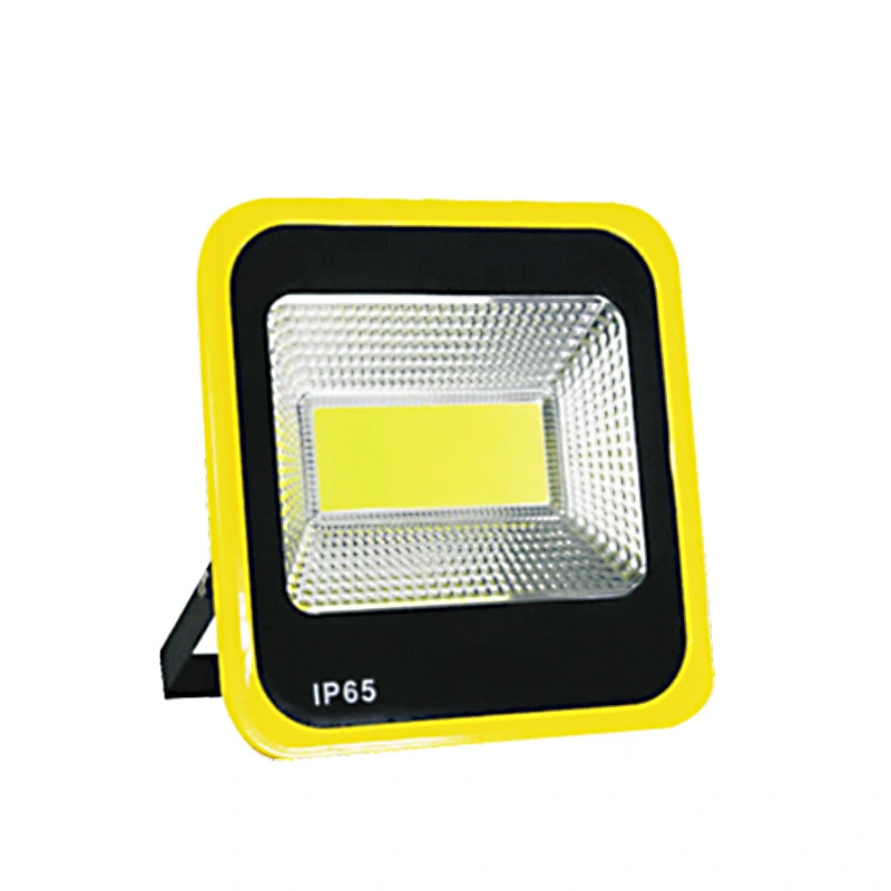 High Lumen Outdoor 100W Security LED Flood Light