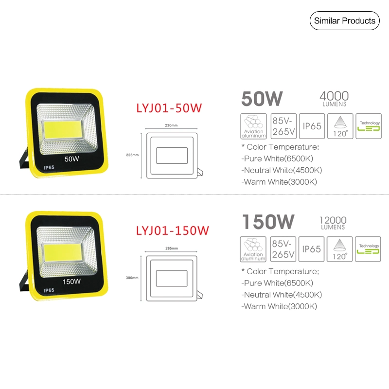 High Lumen Outdoor 100W Security LED Flood Light